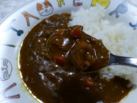 牛すじカレー8