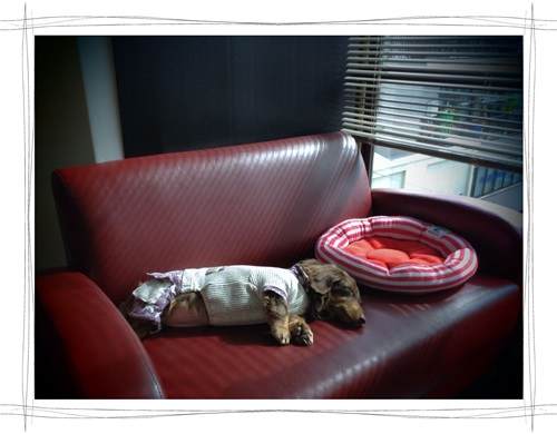 20140212-03.jpg