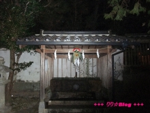 +++ りり☆Blog evolution +++ 広島在住OLの何かやらかしてる日記(・ω・)-20100101_026.jpg