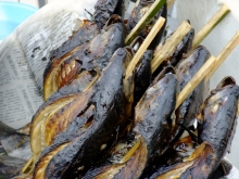+++ りり☆Blog evolution +++ 広島在住OLの何かやらかしてる日記(ゝω・)o-20110123_001.jpg