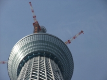 +++ りり☆Blog evolution +++ 広島在住OLの何かやらかしてる日記-20110312_056.jpg