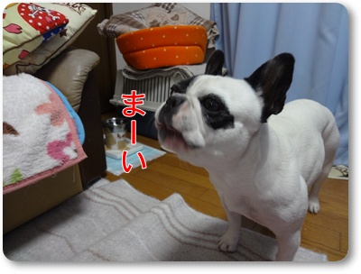 DSC03924.jpg