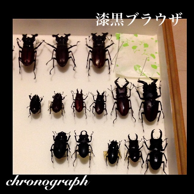 IMG_5275.jpg