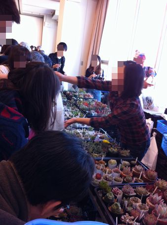 20121104kin.jpg