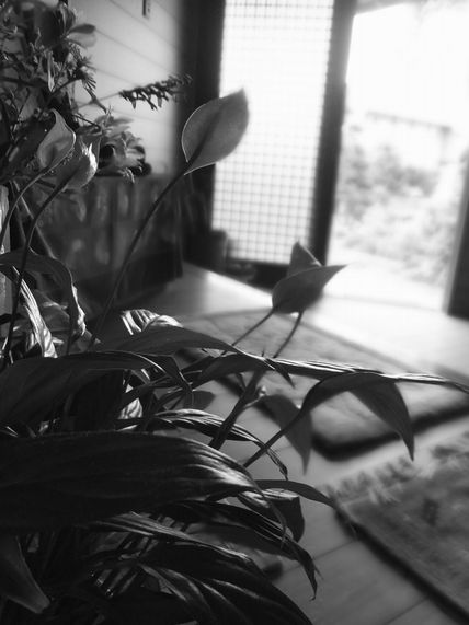 DSCF0125_2.jpg