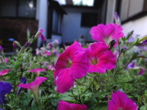DSCF0128_1.jpg