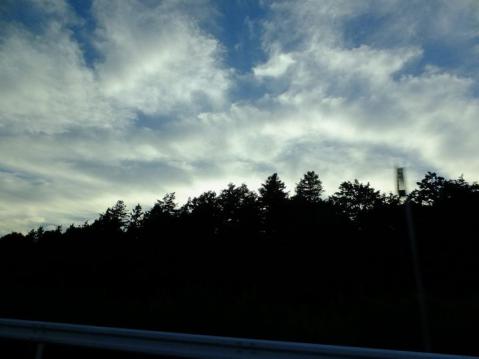 DSCF0137_1.jpg
