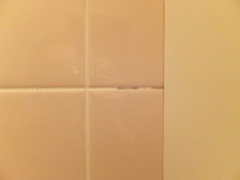 DSCF0329.jpg