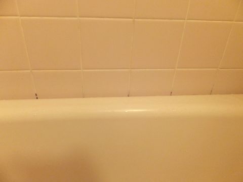 DSCF0335.jpg