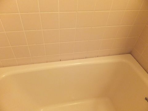 DSCF0336.jpg