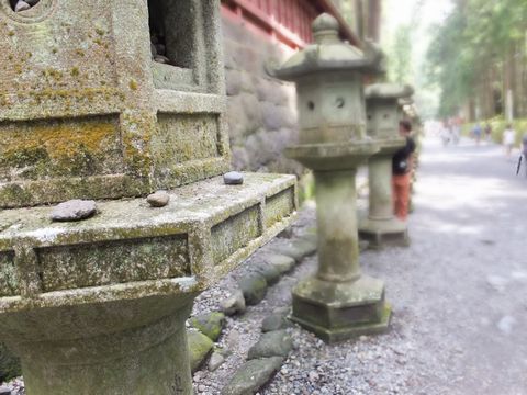 DSCF0462_1.jpg