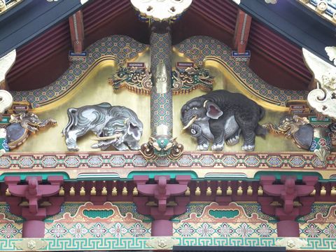 DSCF0477_1.jpg