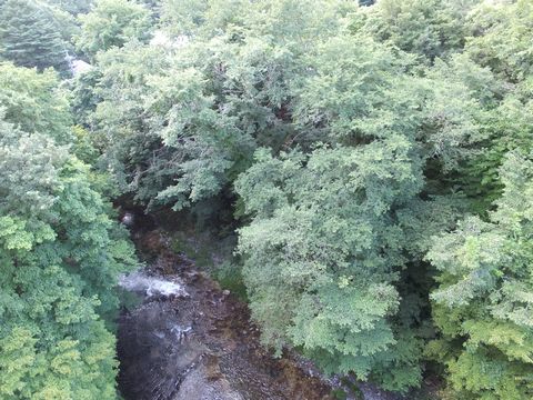 DSCF0684_1.jpg