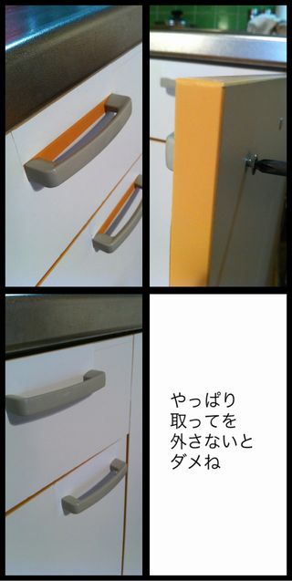 kat_shu.jpg