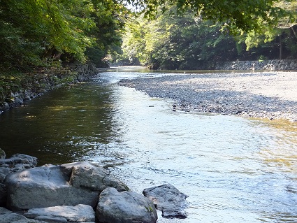 DSCF0993.jpg