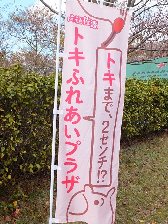 DSCF1302.jpg