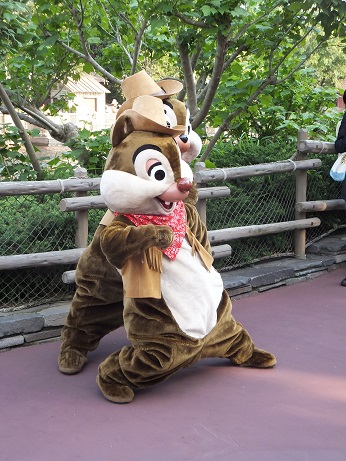 DSCF1519.jpg