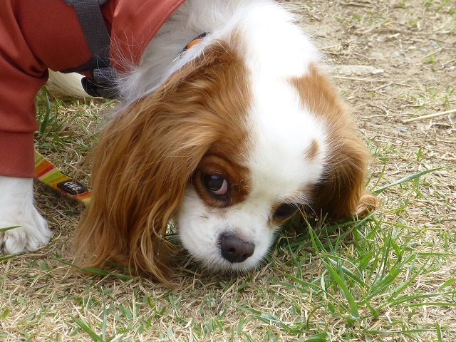P1080574.jpg