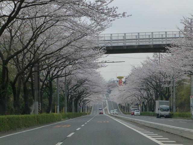 P1080924.jpg
