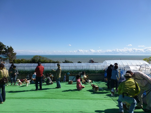 P1090464.jpg