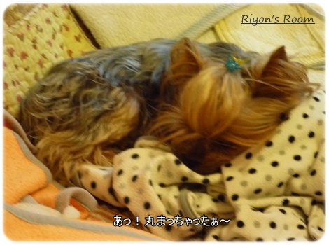 寝んね③