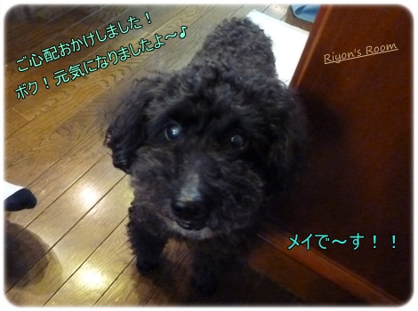 メイメイ②