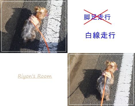 白線⑥