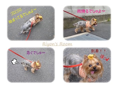 血液検査②