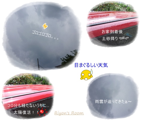 血液検査①