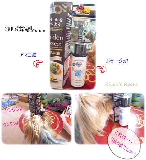オイル①