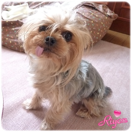 サプリ④