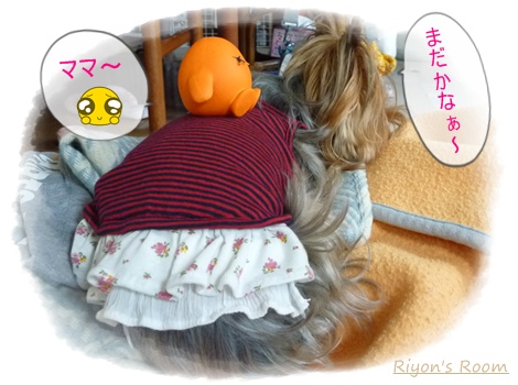 留守番①