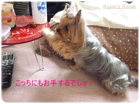 お手②