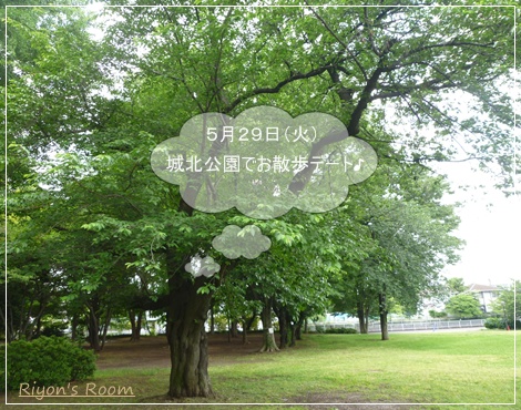 城北公園①