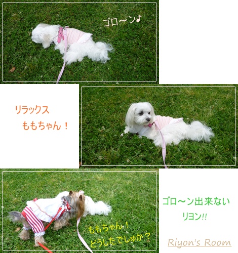 城北公園⑧