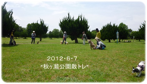 6月散トレ④