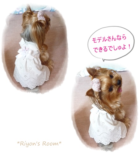 お出かけ前④