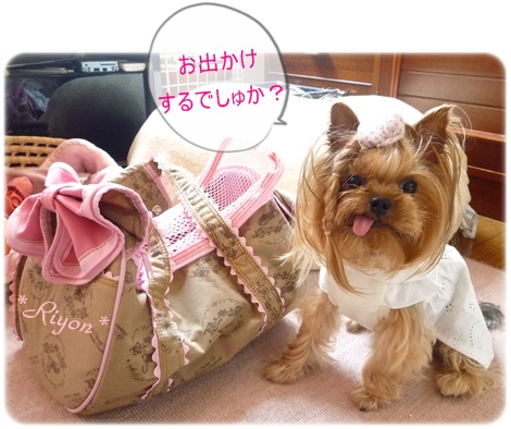 お出かけ前①