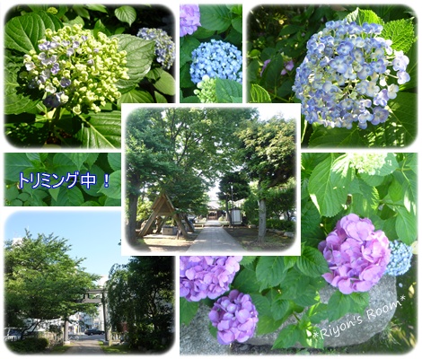 断髪②
