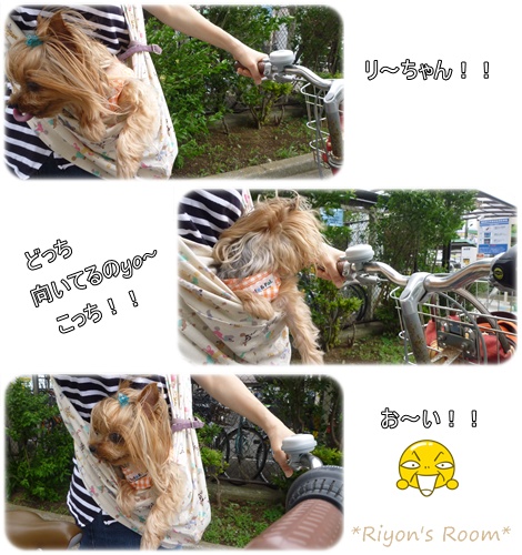 自転車②