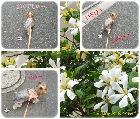 自転車①