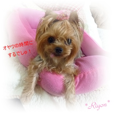 ねむねむ⑤