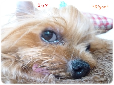 暑い③