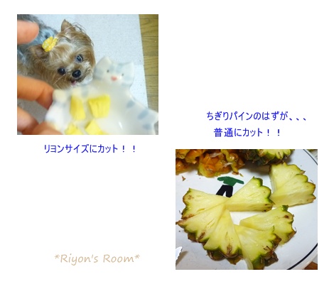 パイン④