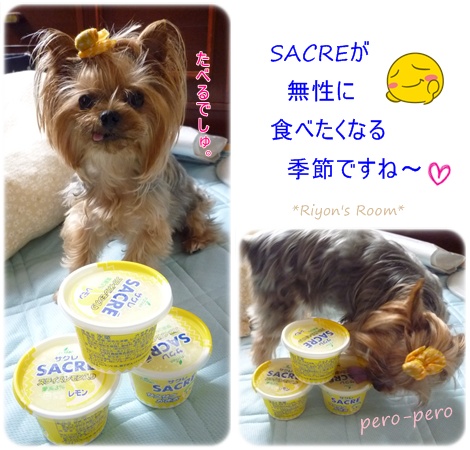 サクレ
