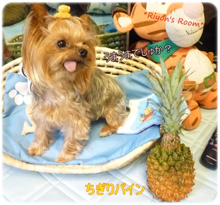 パイン①