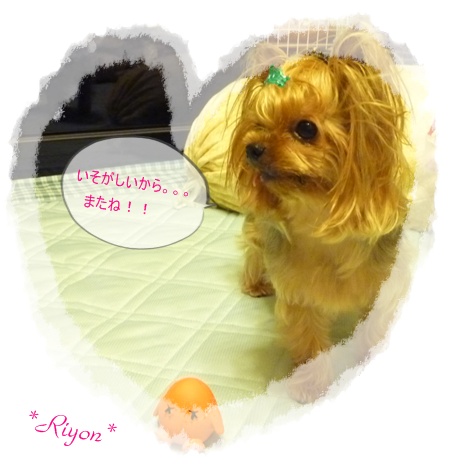 忙しい⑤