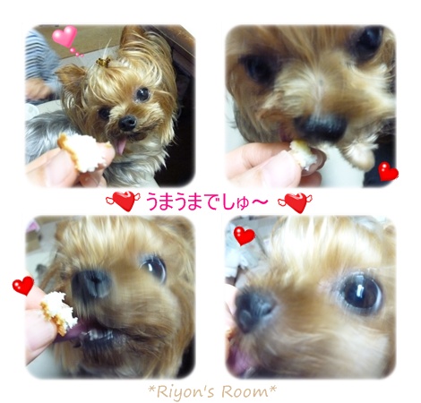 チーズ②