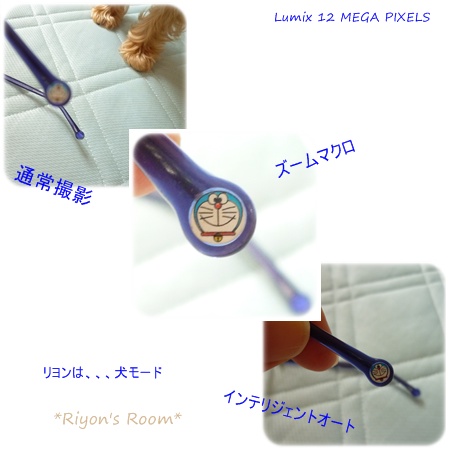 メガネ④