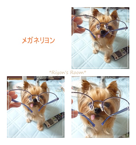 メガネ②